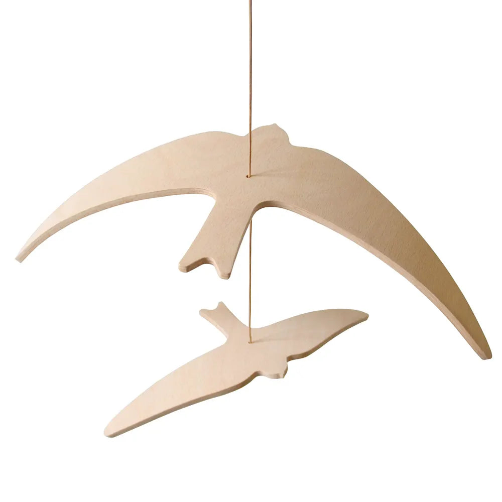 Zwaluw mobiel Kano birds