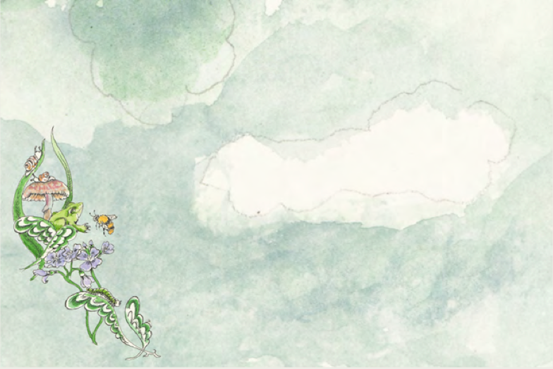 Reversible Pillow Cover Blackbird in the Water Mirror