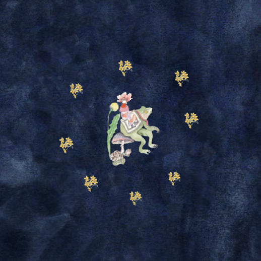 Reversible Pillow Cover Frog Maiden