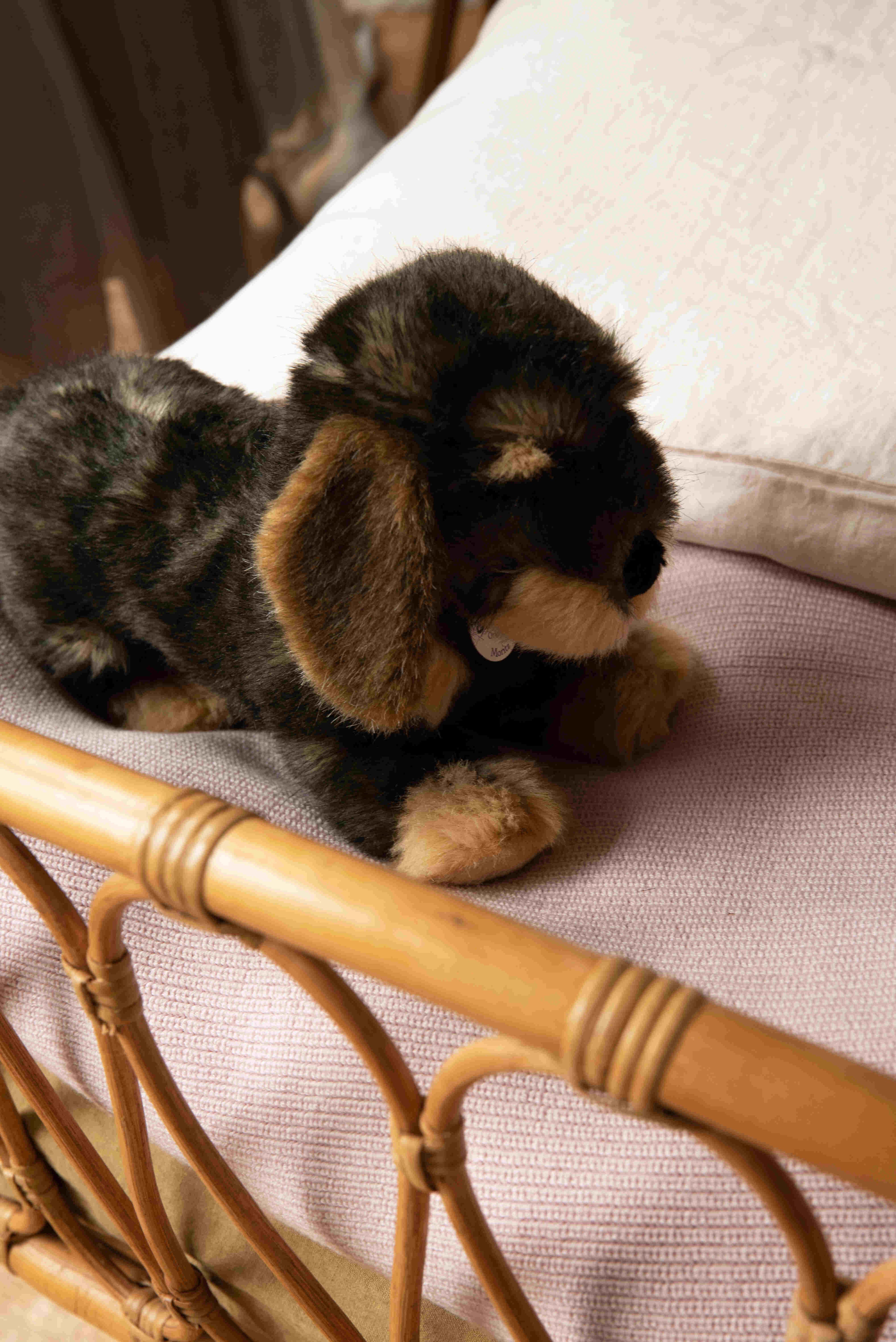 Moritz Tekkel Knuffel