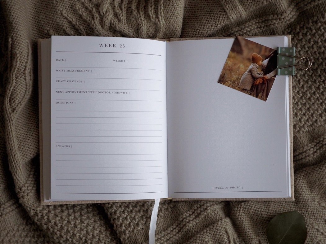 Dagboek Bump A Pregnancy Story
