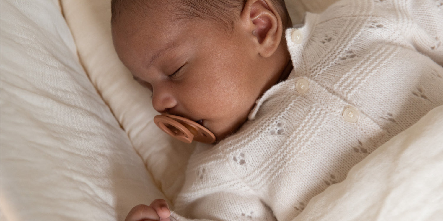 pacifiers from the brand Bibs