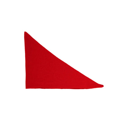 Red triangle-shaped object