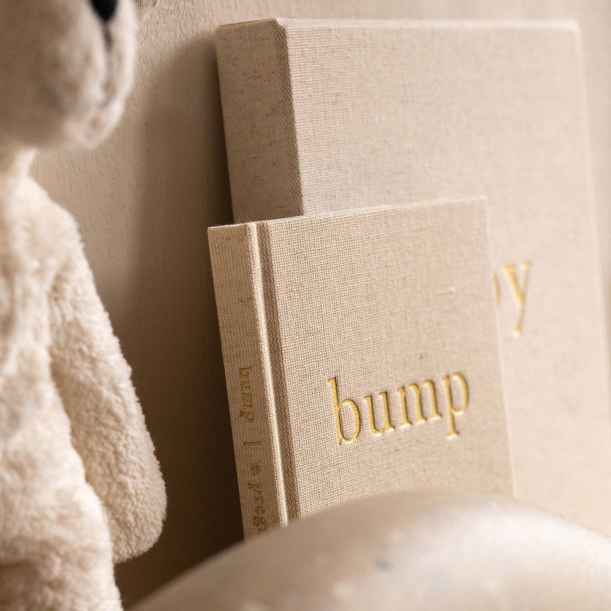 Bump: A Pregnancy Story pregnancy journal, front cover on a plain background