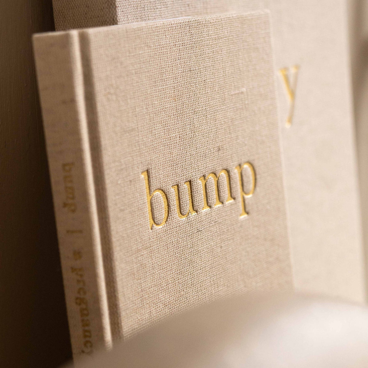 Bump: A Pregnancy Story pregnancy journal, open to an inside page with pregnancy milestones