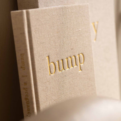 Bump: A Pregnancy Story pregnancy journal, open to an inside page with pregnancy milestones