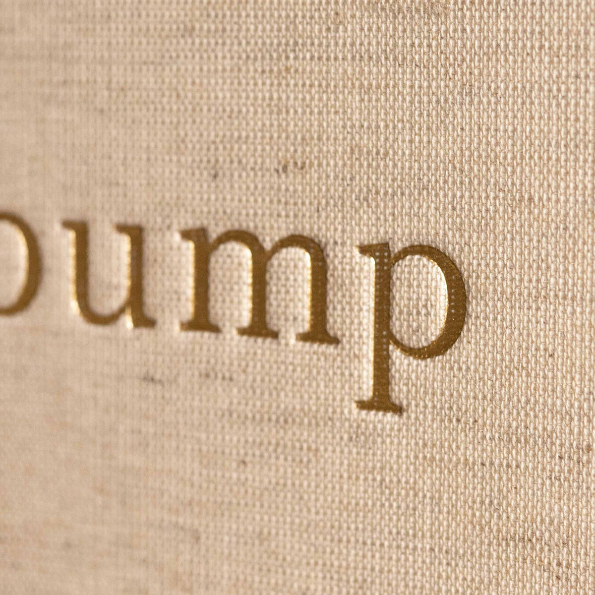 Bump: A Pregnancy Story pregnancy journal, close-up detail of the cover design