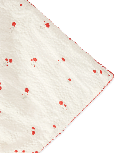 Gevoerde Deken Blueberry