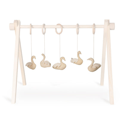 Activity Toy Set Swans