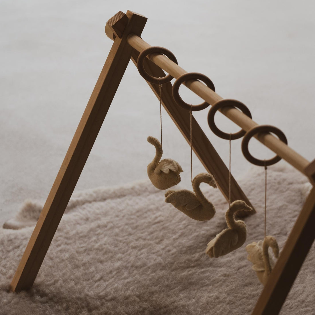 Activity Toy Set Swans
