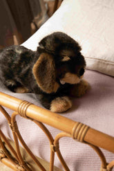 Moritz Dachshund - Steiff