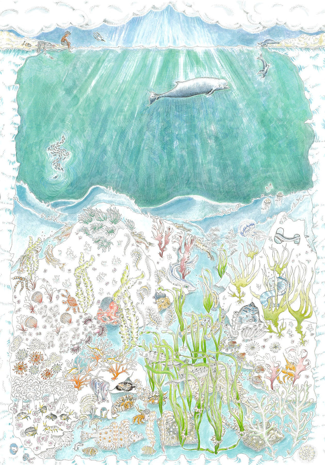 A hand-painted art print of fish, seals, whales and molluscs glimpsed between rocks and sea grasses, inspired by wildlife found in Britain&