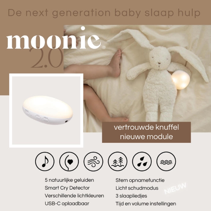 De Humming (zoemende) Beer Grijs