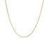 Hazel & George Necklace 14K Gold - 60 cm, curb chain necklace draped in a U-shape on a white background