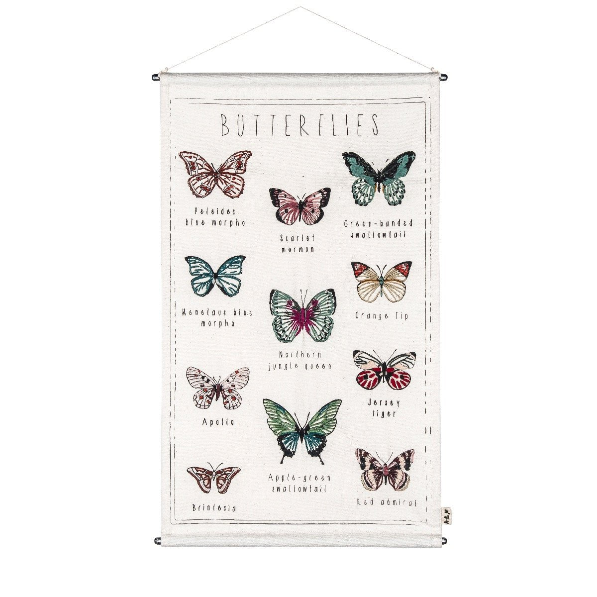 School Poster Butterflies