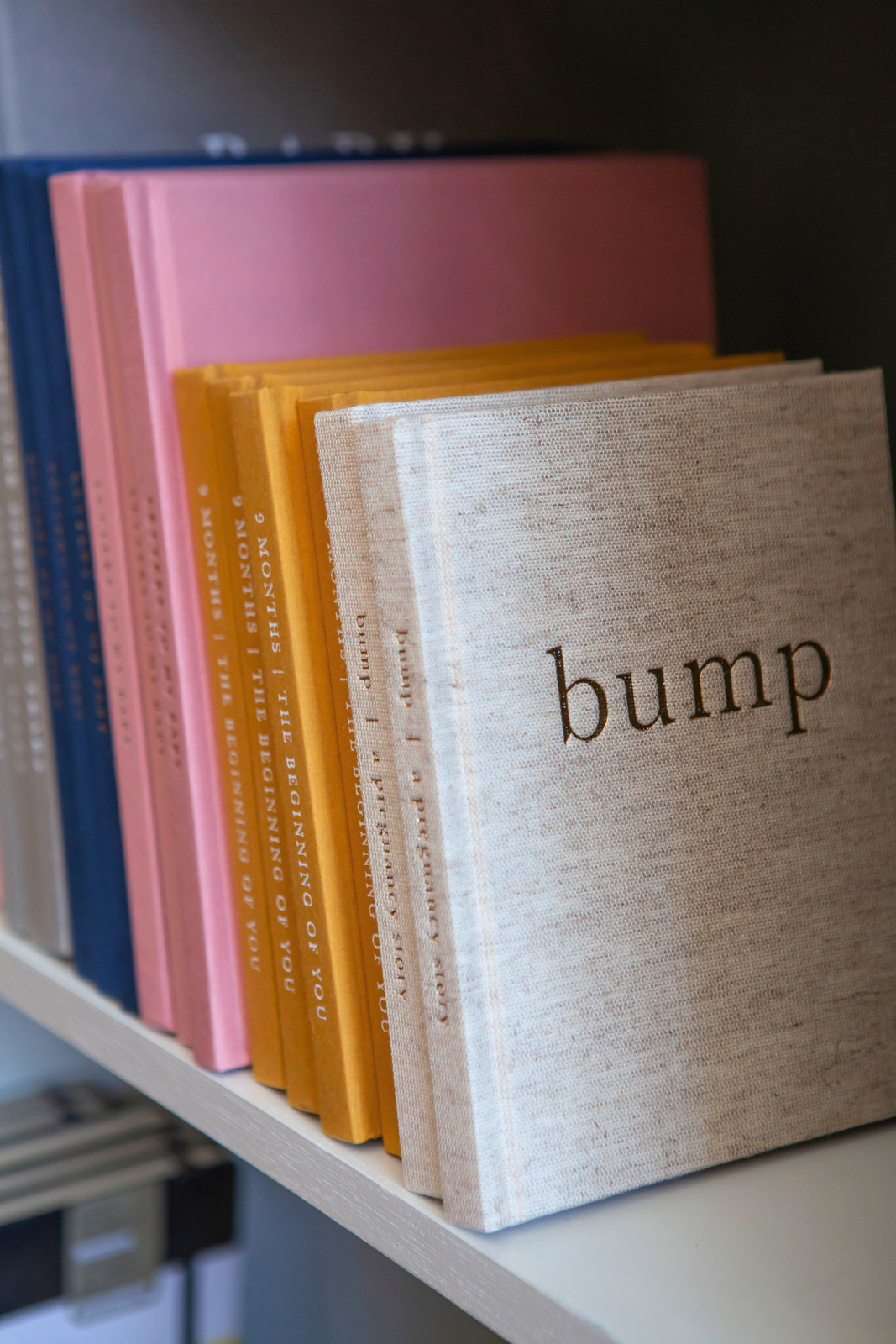 Dagboek Bump A Pregnancy Story